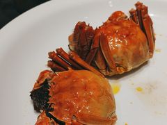 -悦江(梅奔中心店)