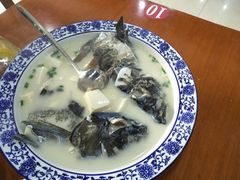 -全乐鱼馆·淳牌有机鱼直营店