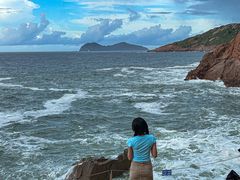 -广东惠东海龟国家级自然保护区