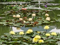 -国家植物园南园