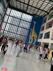 点击看大图 -南京市儿童医院(河西院区)