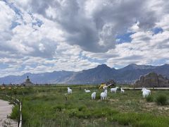 -敕勒川草原文化旅游区