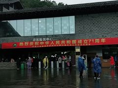 -都江堰中华大熊猫苑