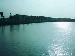 -明珠湖天鹅苑·农家菜馆