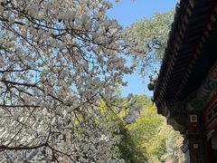-潭柘寺景区