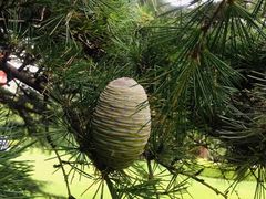 -大连市第二十四中学