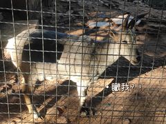 -昆明动物园