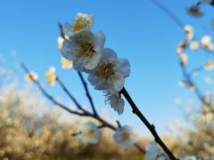 -河坝烧烤串城(虹桥中心店)