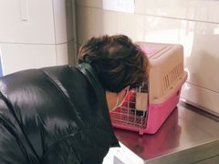 -申普宠物医院·眼科·心内科·影像科(普陀分院)