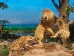 -国家自然博物馆