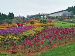 -中国香山·寿香谷