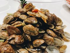 -宝燕壹号(徐汇店)