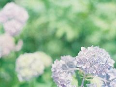 -万达广场(泰安泰山店)