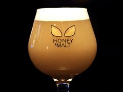 -蜜和麦精酿啤酒吧honey&malt(桐梓林店)