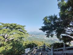 -风云岭森林公园