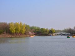 -塘沽森林公园