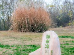 -盘龙城国家考古遗址公园