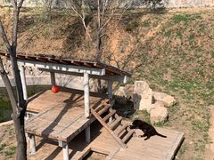 -石家庄市动物园