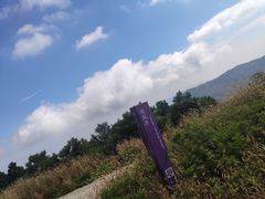 -阳台山自然风景区