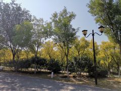 -永定河休闲森林公园