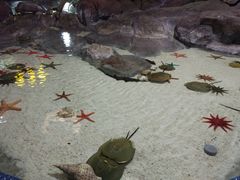 -福州罗源湾海洋世界旅游区