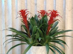 -山东政协大厦维景大酒店