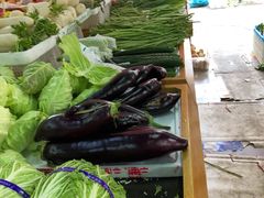 -全而廉(靖宇中路店)