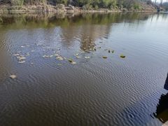 -前关湿地公园