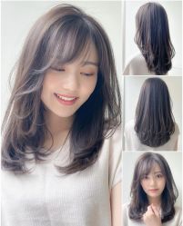 -IDOL-PLUS