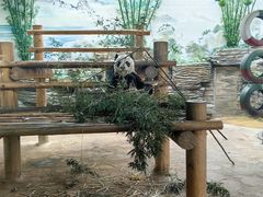 -西霞口神雕山野生动物世界