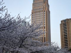 -西北湖绿化广场