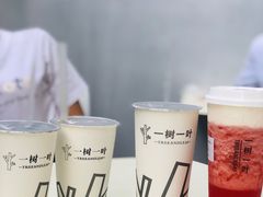 -一树一叶·福建茶档(石鼓路店)