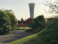 -上海滨江森林公园