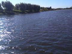 -羊亭河湿地公园