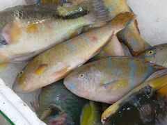 -盛港湾海鲜食府(黄沙店)