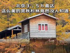 -苏木山森林公园