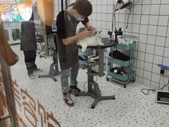 -BABIT巴比特宠物(MOMOPARK店)