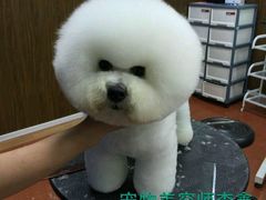 -鑫艺宠物美容培训学校