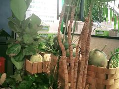 -大头椰·椰子鸡火锅(南宁万象城店)