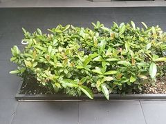 -阿伟海鲜楼·福建菜(涵江店)