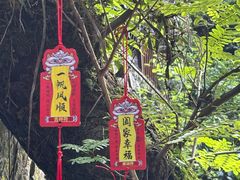 -石台牯牛降景区