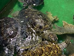 -常州海昌海洋探索馆