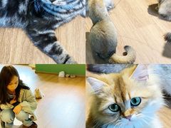 -柯斗斗主题餐厅·狗咖·围炉煮茶·茶饮(国瑞升平里店)