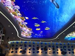 -瑞德姆美人鱼海底演艺主题餐厅(亚龙湾店)
