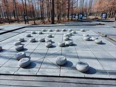 -合肥滨湖国家森林公园