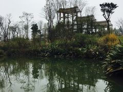 -桤木河湿地公园