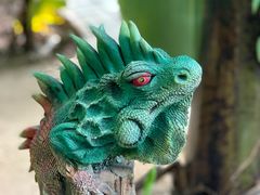 -呀路古热带植物园