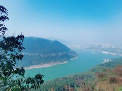 -铁山坪森林公园