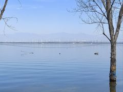 -观澜小洱海