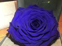 -ROSEONLY诺誓(广州K11店)